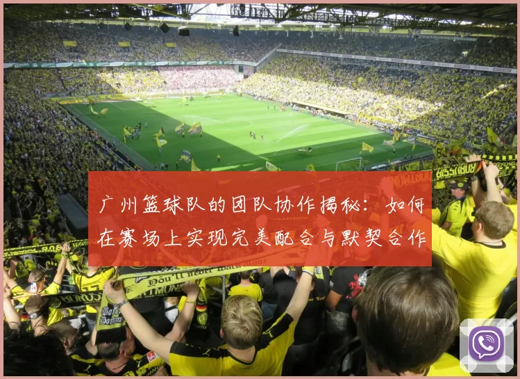 广州篮球队的团队协作揭秘：如何在赛场上实现完美配合与默契合作