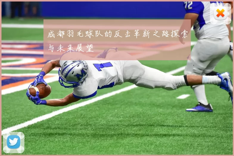 成都羽毛球队的反击革新之路探索与未来展望